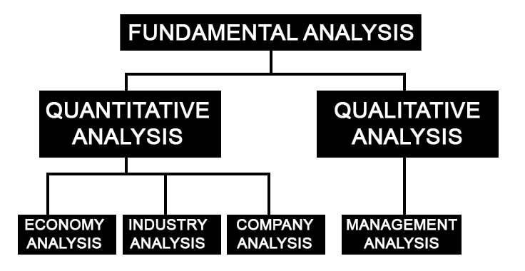 Fundamental Analysis Types