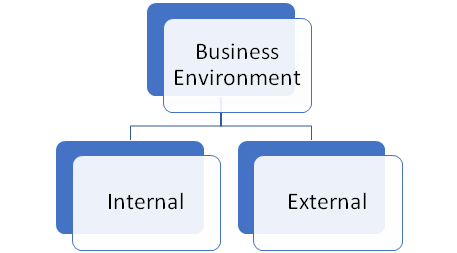 two-types-of-business-environment