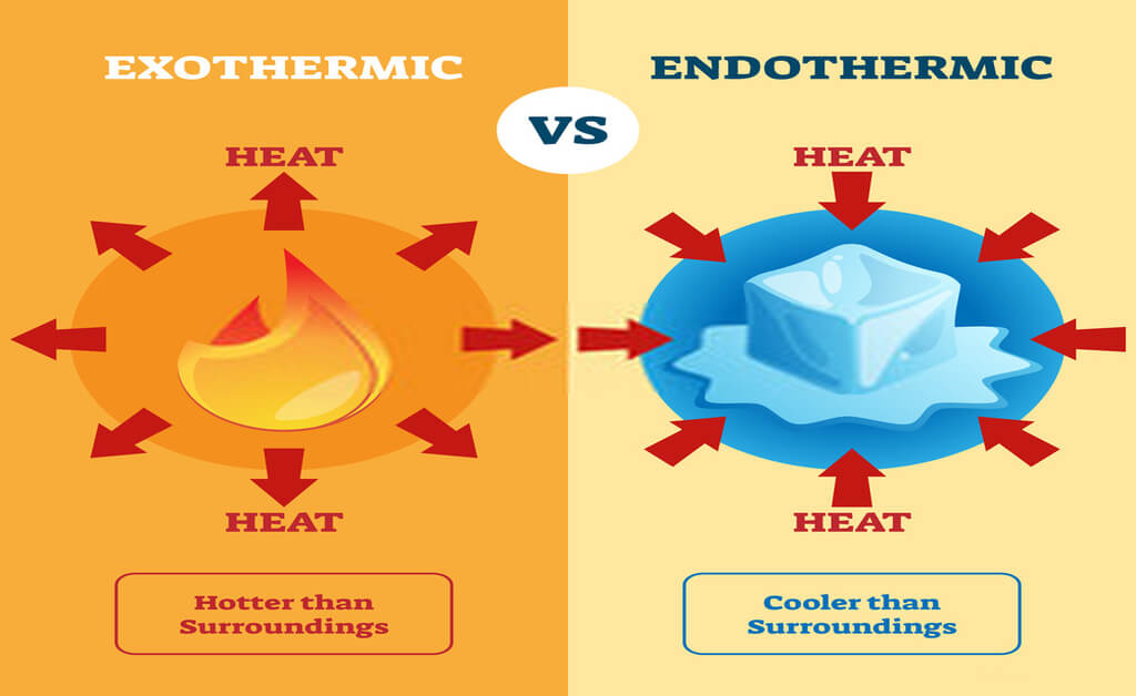 Exothermic and Endothermic reaction