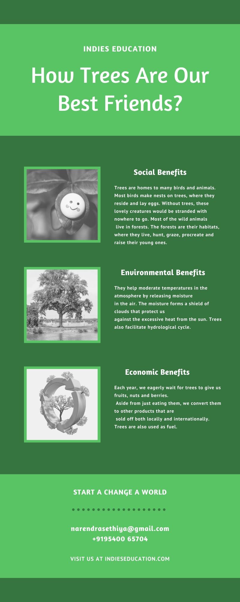 TREES ARE OUR BEST FRIENDS INFOGRAFIC