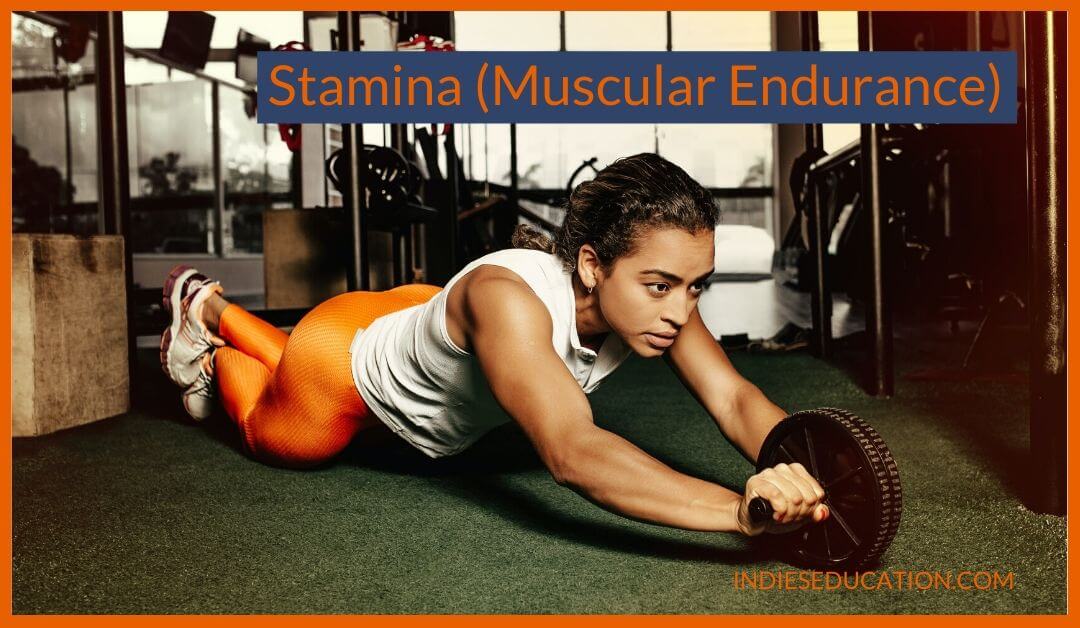 Stamina-Muscular-Endurance