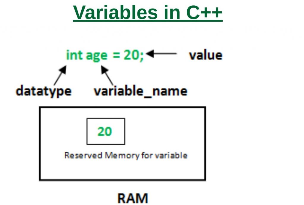 what does *variable mean in c
